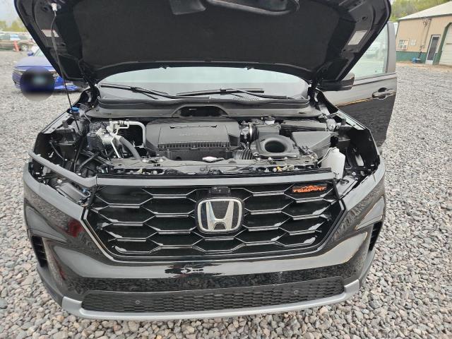 2025 HONDA PILOT TRAI #3294597033