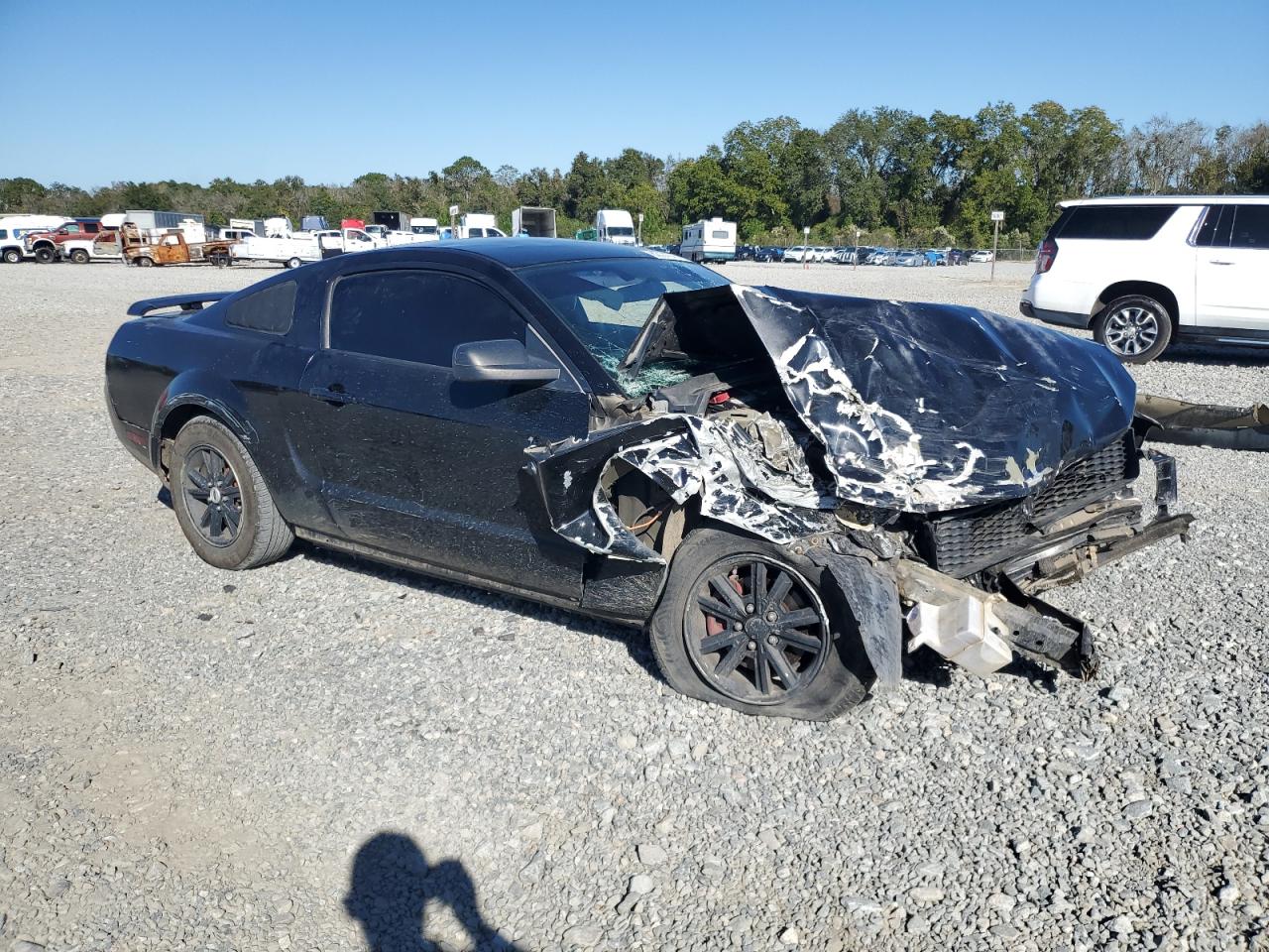 Lot #3308428274 2005 FORD MUSTANG