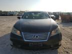 Lot #3311449238 2010 LEXUS ES 350