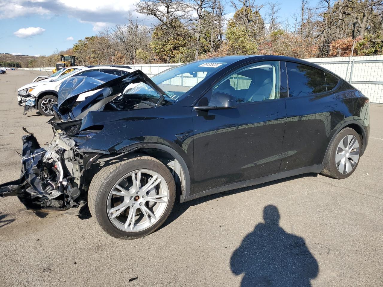 Lot #3315888089 2023 TESLA MODEL Y