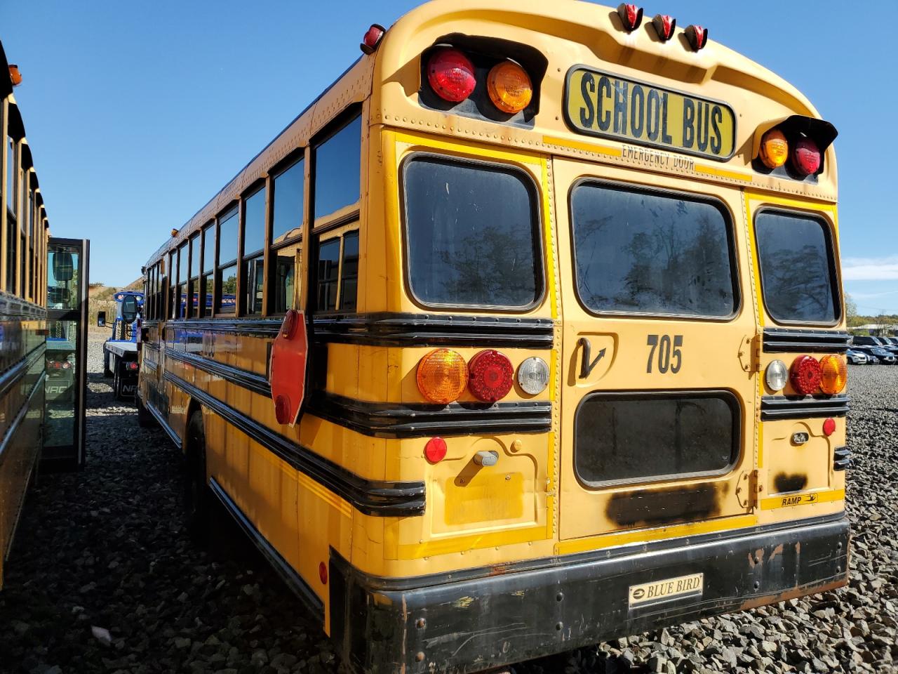 Lot #3269765718 2009 BLUE BIRD SCHOOL BUS