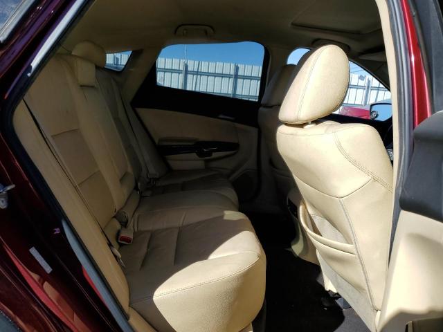 2010 HONDA ACCORD CRO - 5J6TF2H50AL008083