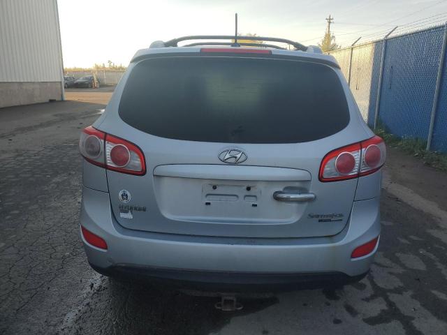 2010 HYUNDAI SANTA FE S - 5NMSHDAG0AH354753