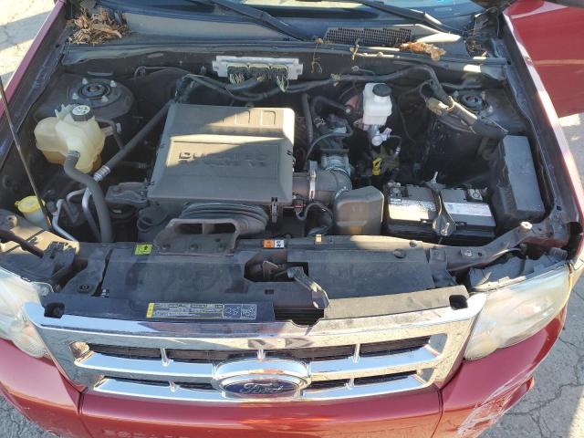 2010 FORD ESCAPE XLT - 1FMCU9DG7AKA44320