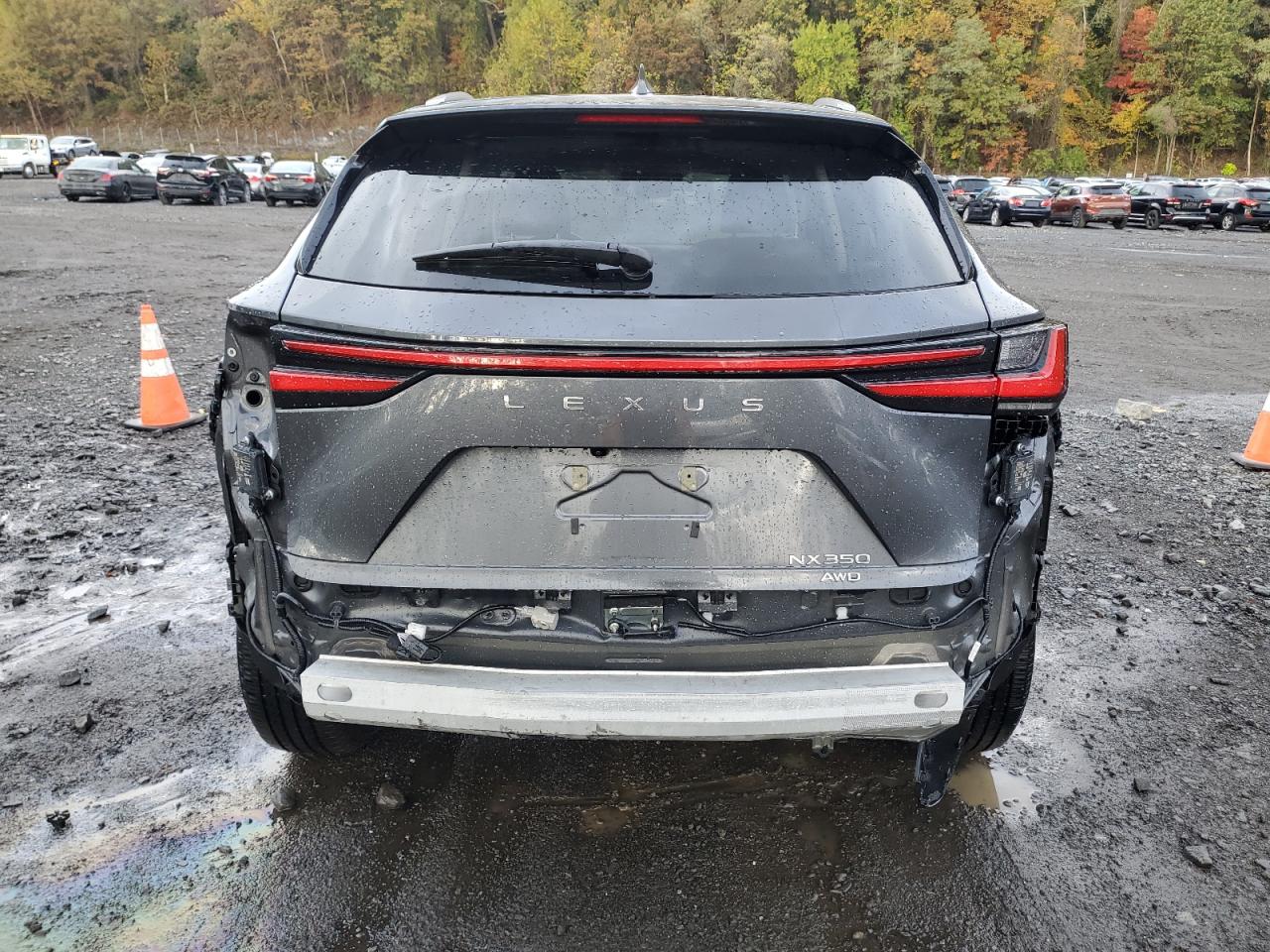 LEXUS NX 350 PREMIUM