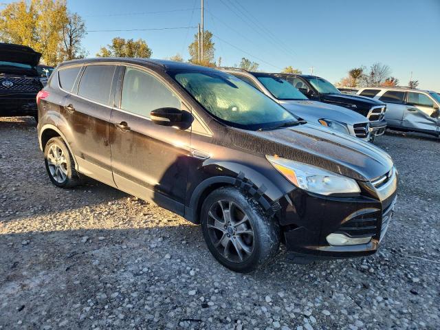 2013 FORD ESCAPE SEL - 1FMCU9H97DUA35055