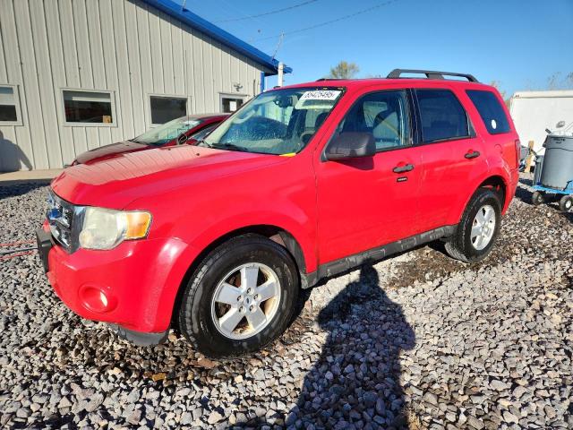 Global Auto Auctions: 2009 FORD ESCAPE XLT