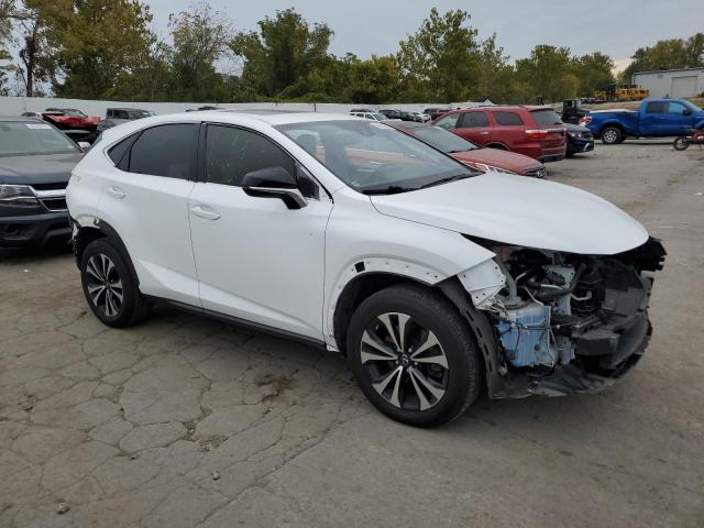 2021 LEXUS NX 300 BAS #3286811212