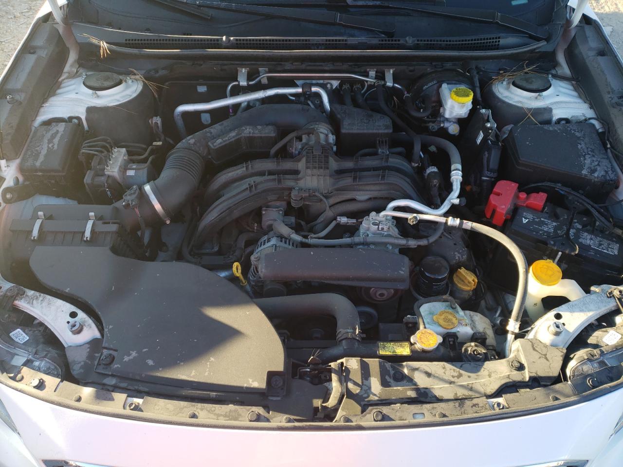 SUBARU OUTBACK LIMITED