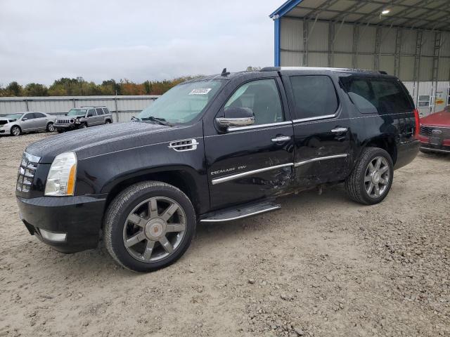 Global Auto Auctions: 2013 CADILLAC ESCALADE E