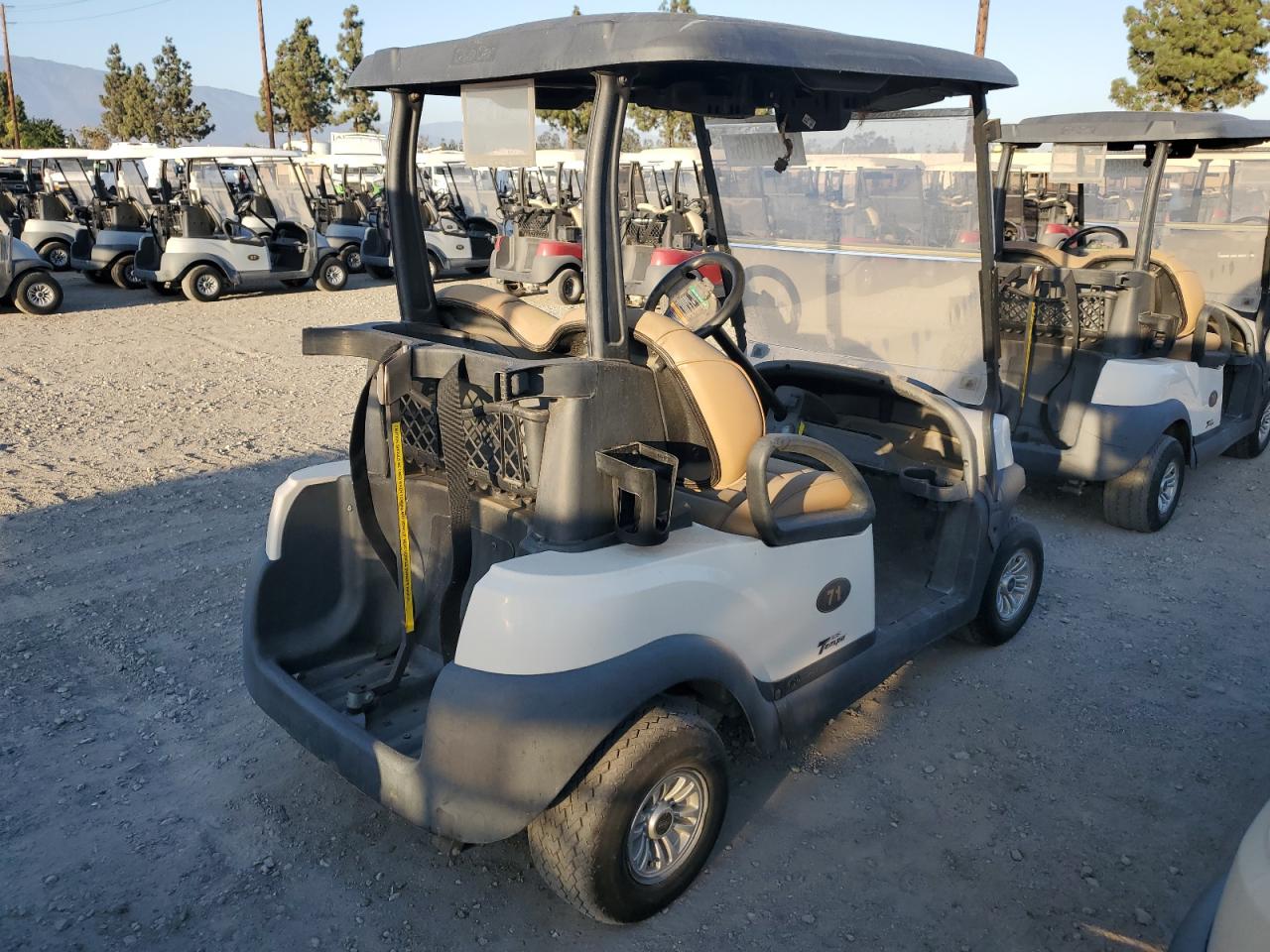 Lot #3263696690 2020 CLUB CAR TEMPO LITHIUM