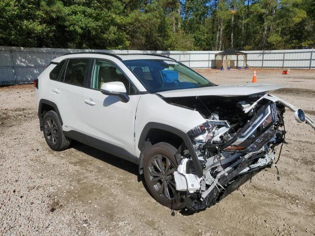 2024 TOYOTA RAV4 XLE PREMIUM - 4T3B6RFV7RU173005