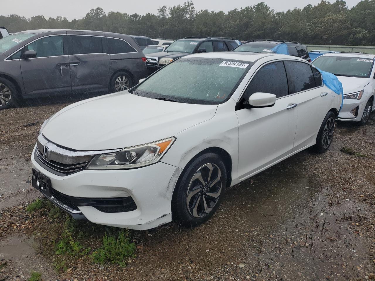 Lot #3266696363 2017 HONDA ACCORD EX