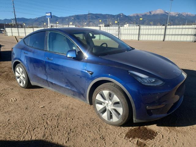 2021 TESLA MODEL Y #3297453195