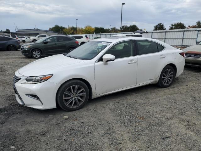LEXUS ES 300H