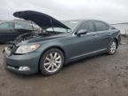 Lot #3320149342 2008 LEXUS LS 460
