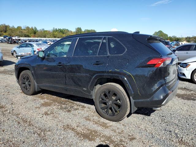 2023 TOYOTA RAV4 SE - JTM16RFV6PD085004