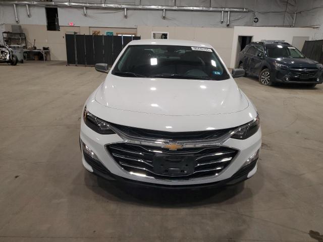2019 CHEVROLET MALIBU LS - 1G1ZB5ST1KF205776