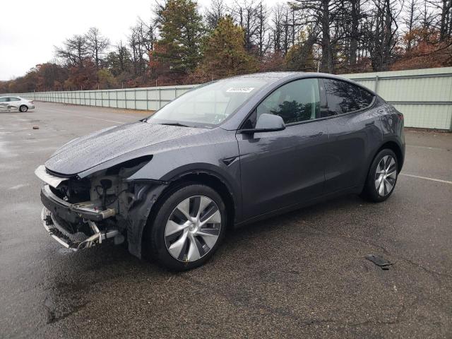 2023 TESLA MODEL Y #3282499889