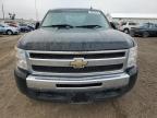 Lot #3296917855 2009 CHEVROLET SILVERADO
