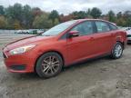 Lot #3296228435 2018 FORD FOCUS SE