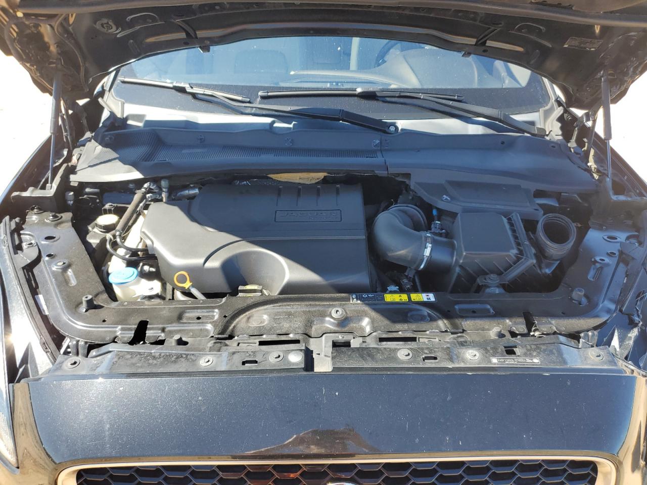 JAGUAR E-TYPE R-DYNAMIC S