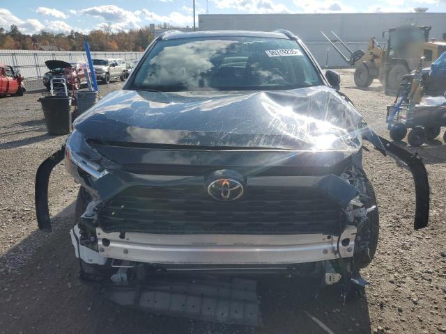 2023 TOYOTA RAV4 XLE #3297162521