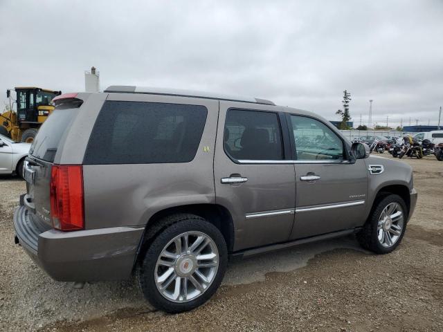 2013 CADILLAC ESCALADE P - 1GYS3FEJ4DR109707