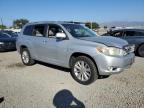 Lot #3310347966 2010 TOYOTA HIGHLANDER