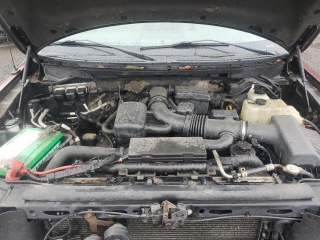 2010 FORD F-150 - 1FTFX1EV5AFA31551