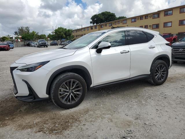 2024 LEXUS NX 250 BAS 2T2ADCAZ0RC010792