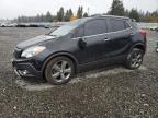 Lot #3305655734 2013 BUICK ENCORE
