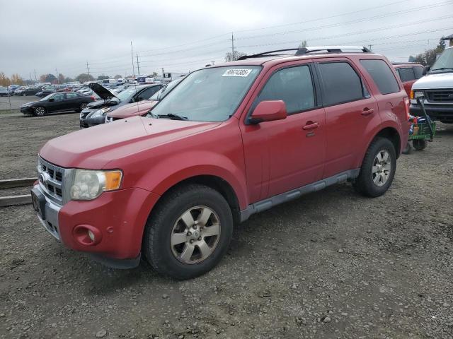 Global Auto Auctions: 2010 FORD ESCAPE LIM