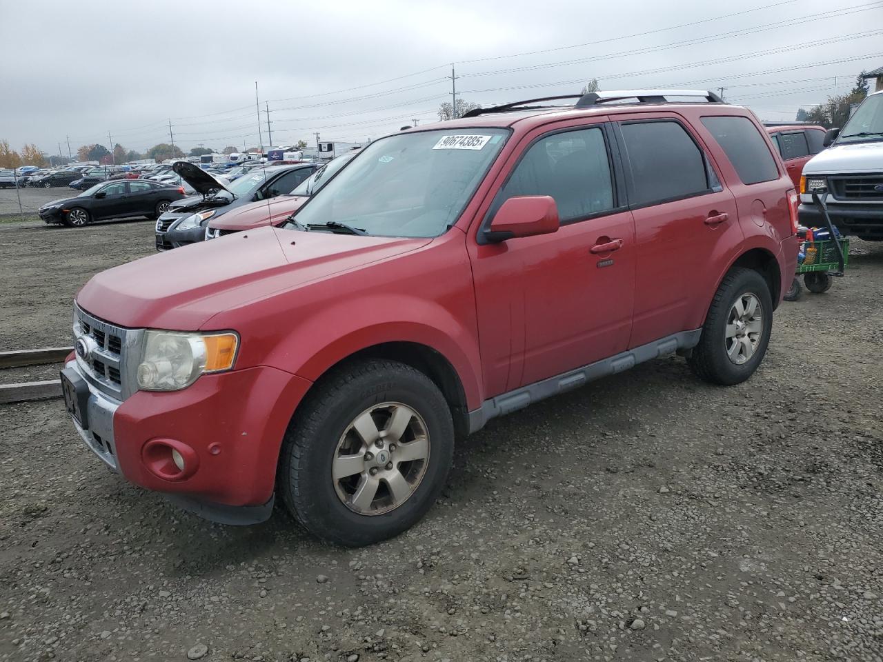 Lot #3284169551 2010 FORD ESCAPE LIM