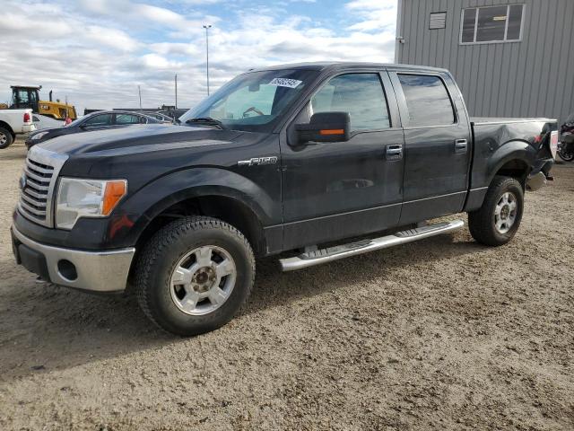 Global Auto Auctions: 2012 FORD F150 SUPER