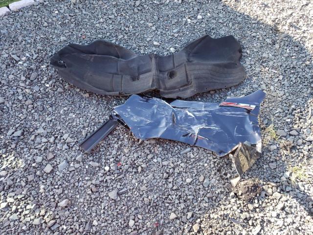 2024 CHEVROLET TAHOE K1500 Z71 - 1GNSKPKD0RR289702