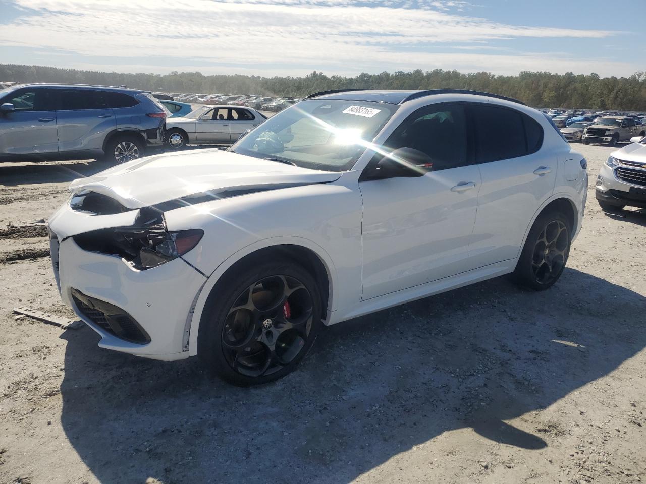 ALFA ROMEO STELVIO TRIBUTO ITALIANO