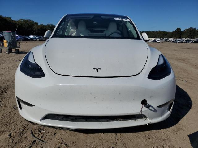 2024 TESLA MODEL Y #3301742351