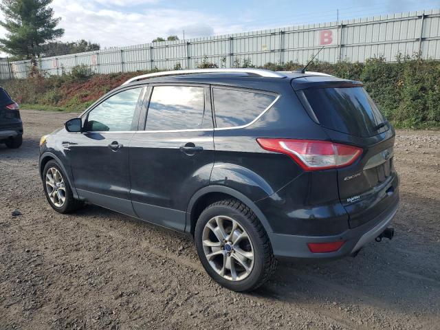 2014 FORD ESCAPE TITANIUM #3283876439