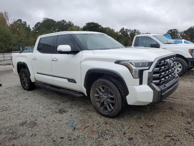 2022 TOYOTA TUNDRA CRE 5TFNA5AB1NX001561