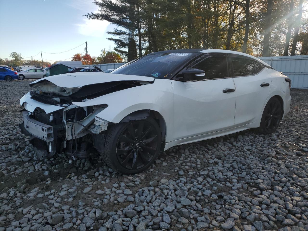 Lot #3298105144 2019 NISSAN MAXIMA S