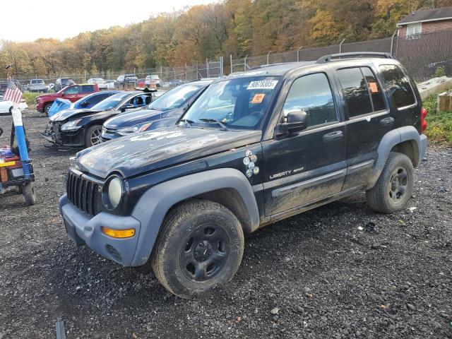 Global Auto Auctions: 2003 JEEP LIBERTY SP