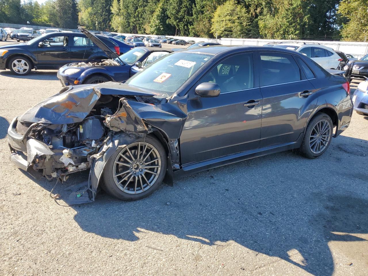 SUBARU WRX
