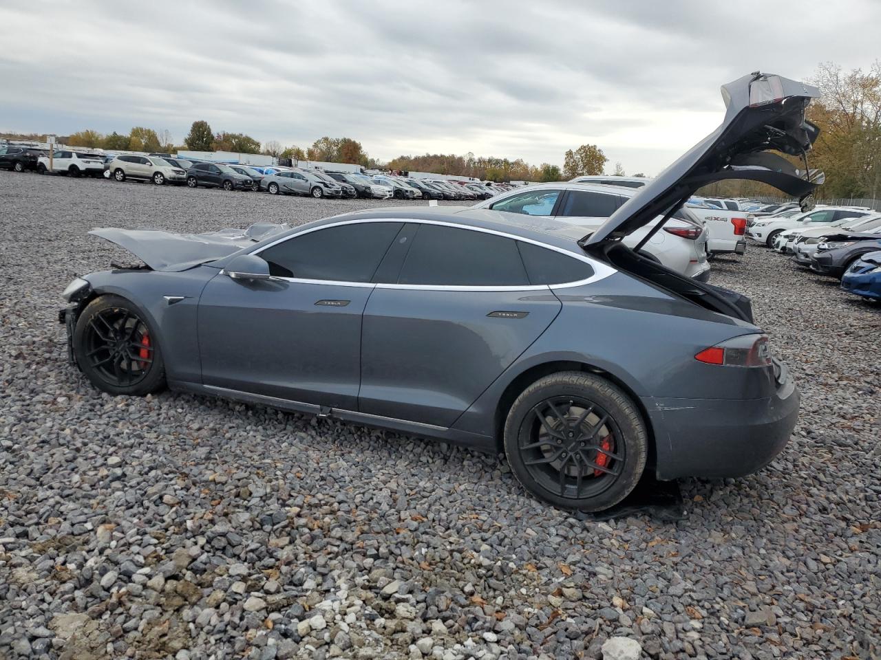 TESLA MODEL S