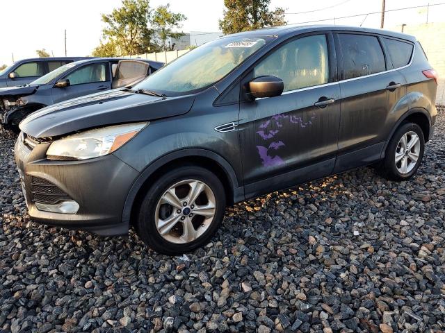Global Auto Auctions: 2016 FORD ESCAPE SE