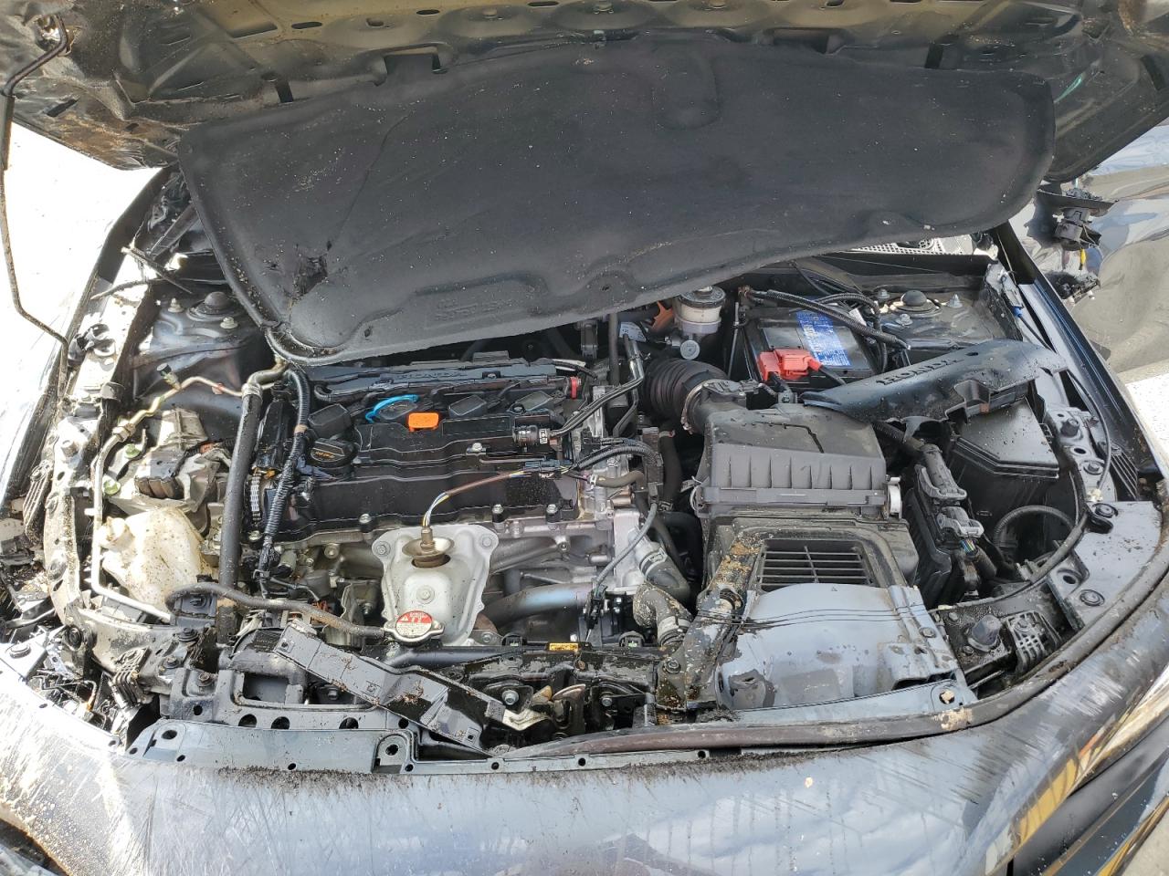 Lot #3302700013 2024 HONDA CIVIC SPOR