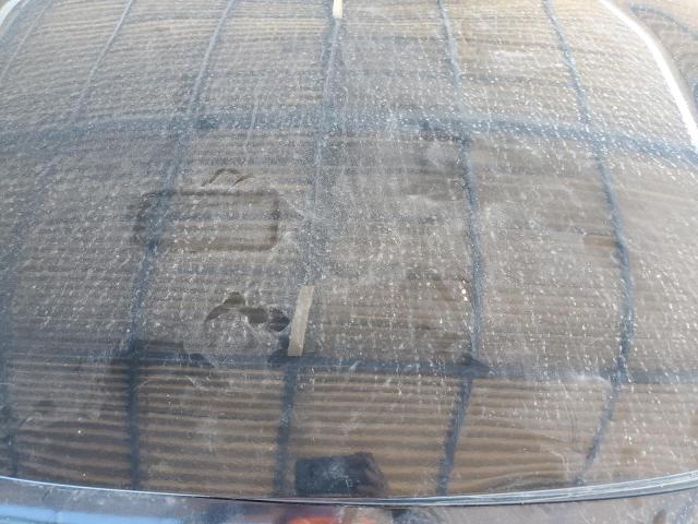 2020 HONDA CIVIC SPORT - 19XFC2F84LE013517