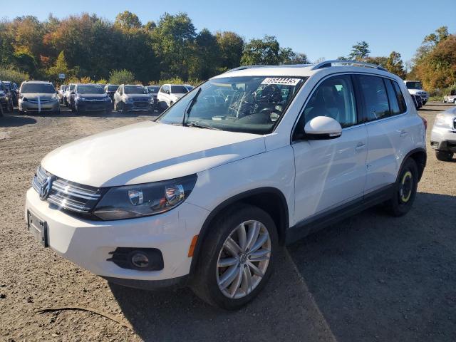 2013 VOLKSWAGEN TIGUAN S - WVGBV7AX8DW549720