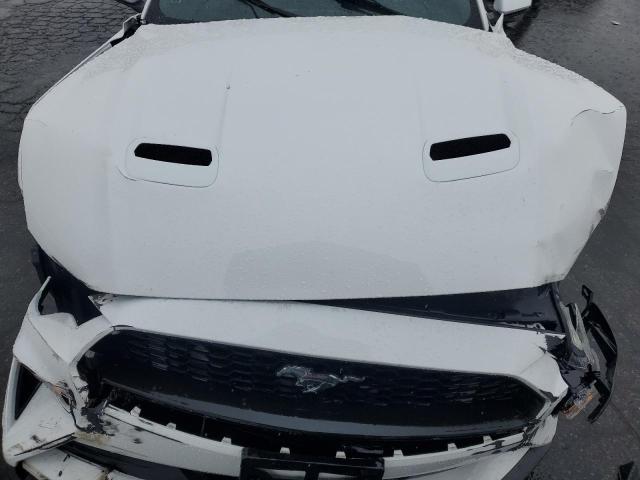 2019 FORD MUSTANG - 1FA6P8TH4K5188135