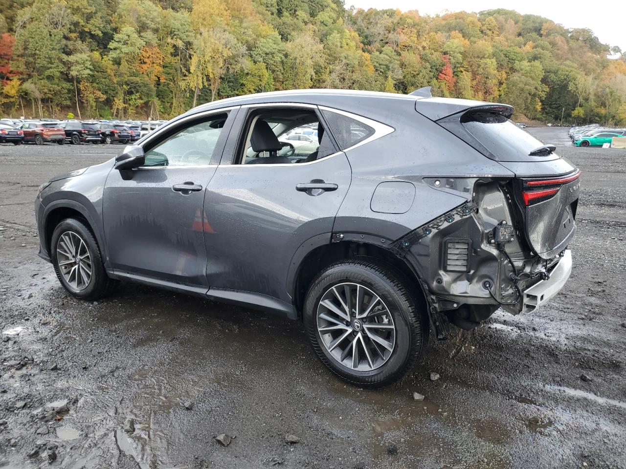 LEXUS NX 350 PREMIUM